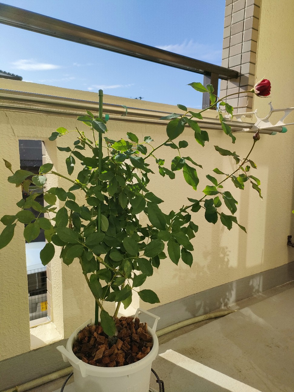 f:id:waha2504:20251107130357j:image