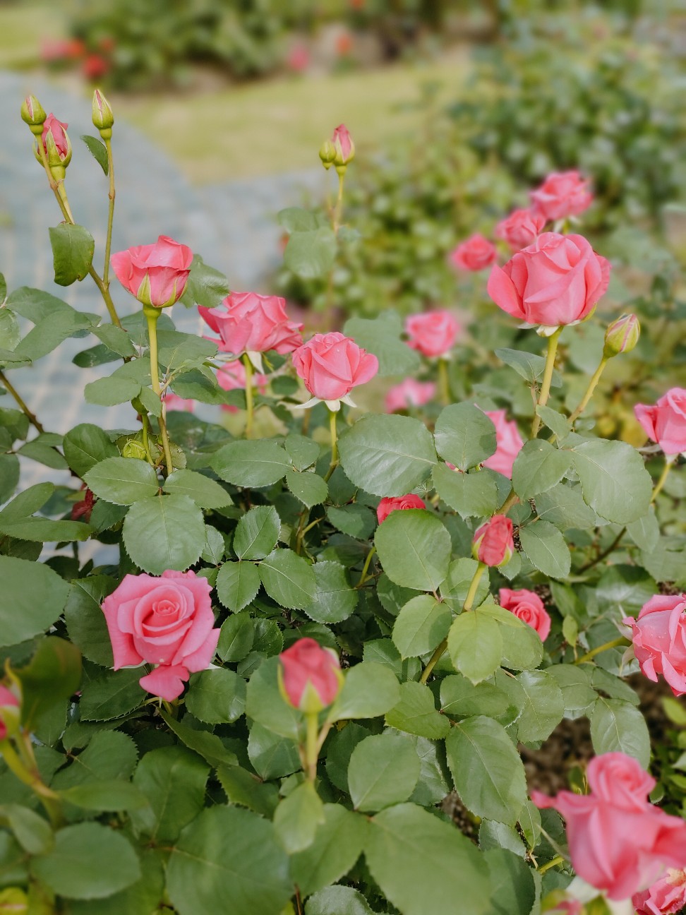 f:id:waha2504:20260427122456j:image