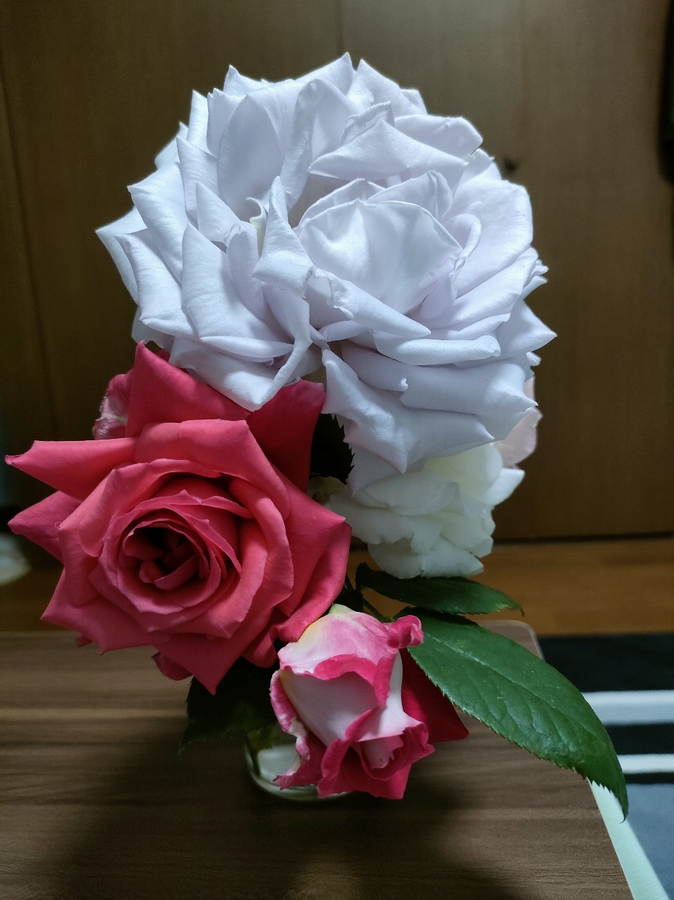 f:id:waha2504:20260504193911j:image