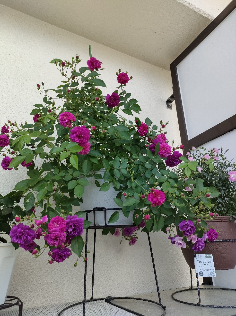 f:id:waha2504:20260513163029j:image