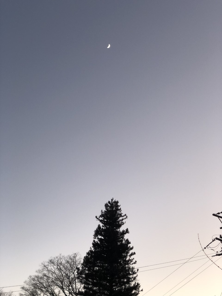 f:id:wahaha222:20200103180936j:plain