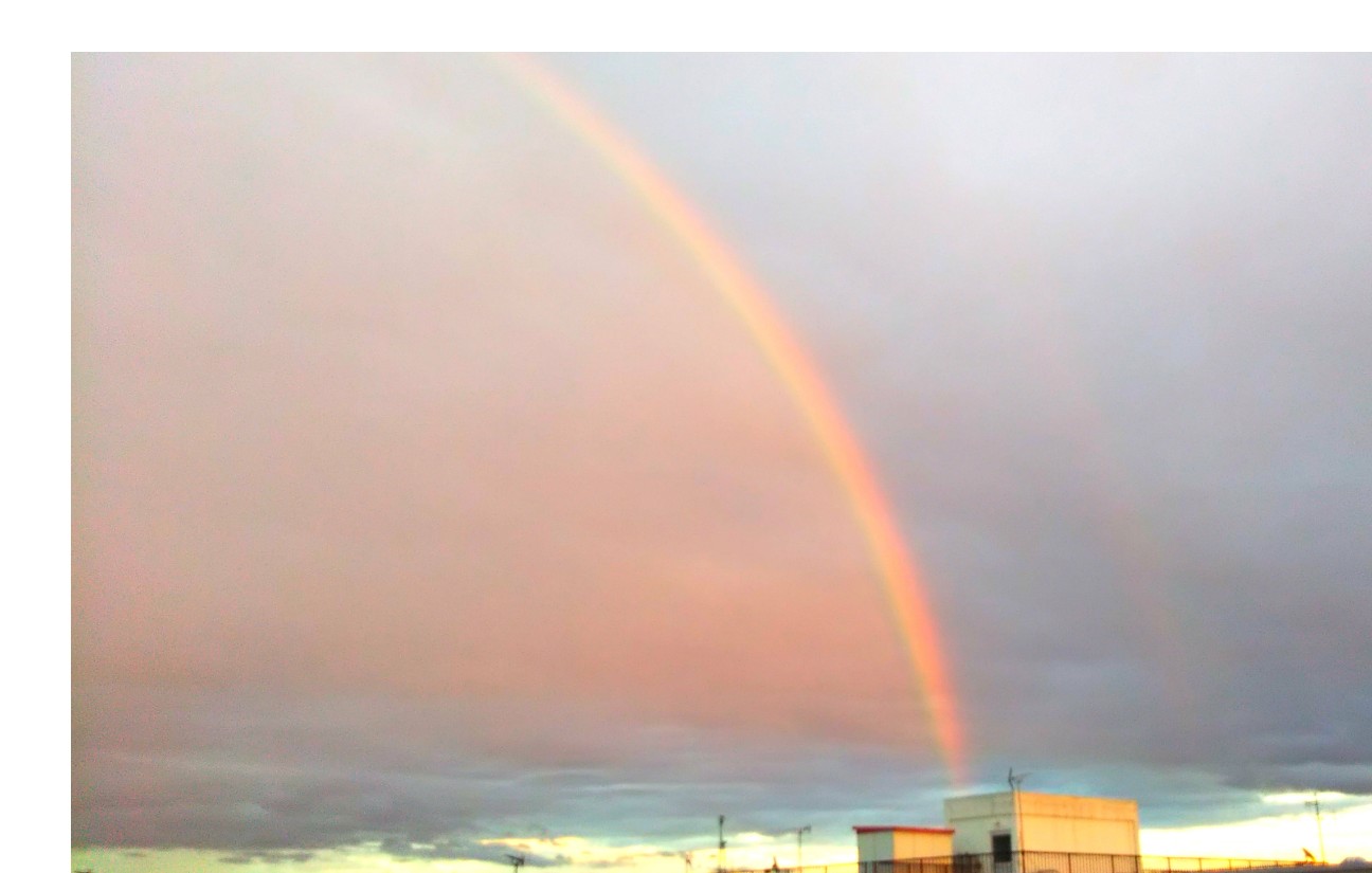 f:id:wahahanetwork:20220619224353j:image f:id:wahahanetwork:20220619224353j:image