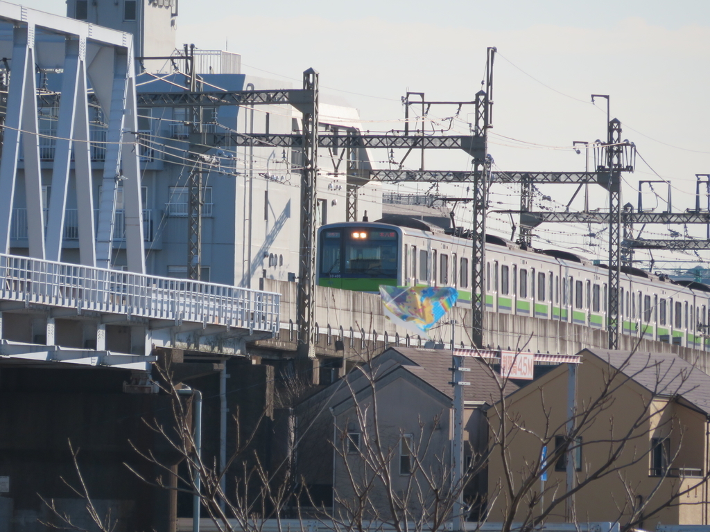 f:id:wahoonanodesu:20190112214430j:plain f:id:wahoonanodesu:20190112214430j:plain