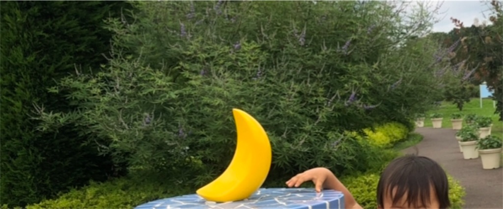 f:id:waimama:20190713065647j:image f:id:waimama:20190713065647j:image