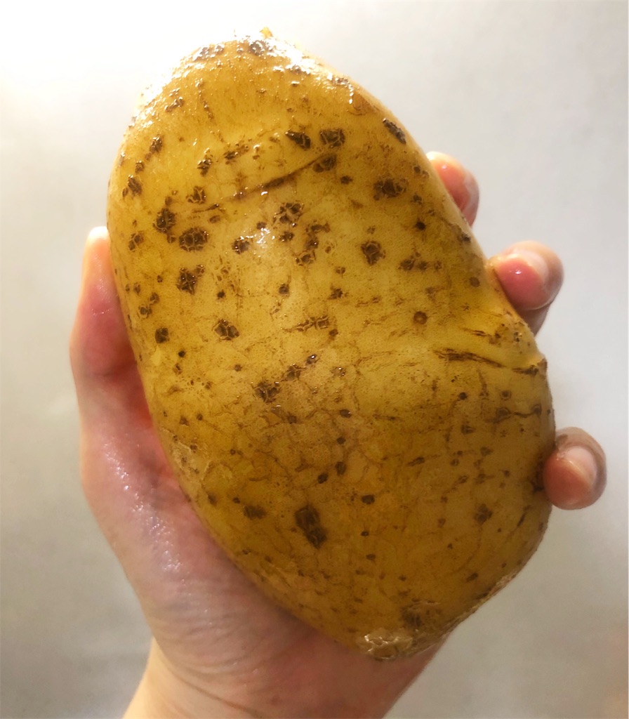 f:id:waimama:20190719230445j:image f:id:waimama:20190719230445j:image