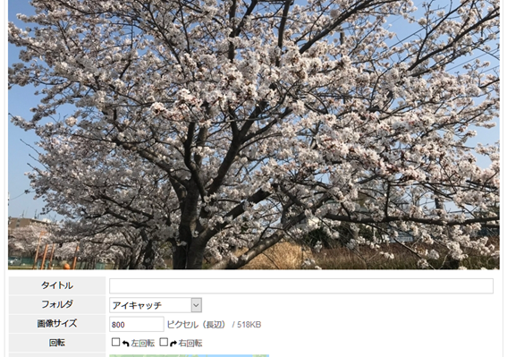 f:id:wainori2199:20180405181227p:plain f:id:wainori2199:20180405181227p:plain