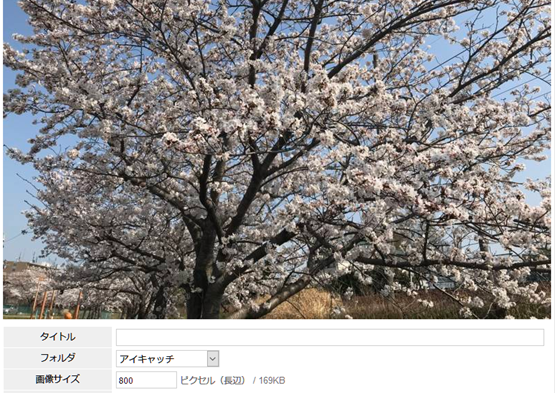 f:id:wainori2199:20180405181928p:plain f:id:wainori2199:20180405181928p:plain