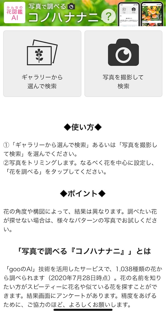 f:id:waisuta12:20220510123537j:image