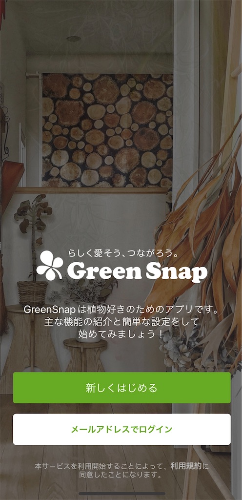 f:id:waisuta12:20220510133655j:image f:id:waisuta12:20220510133655j:image