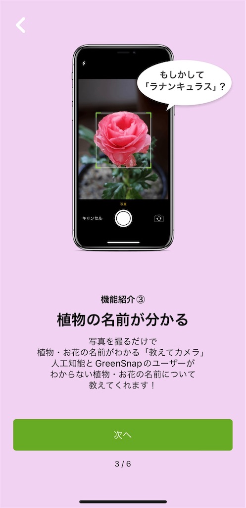 f:id:waisuta12:20220510133800j:image f:id:waisuta12:20220510133800j:image