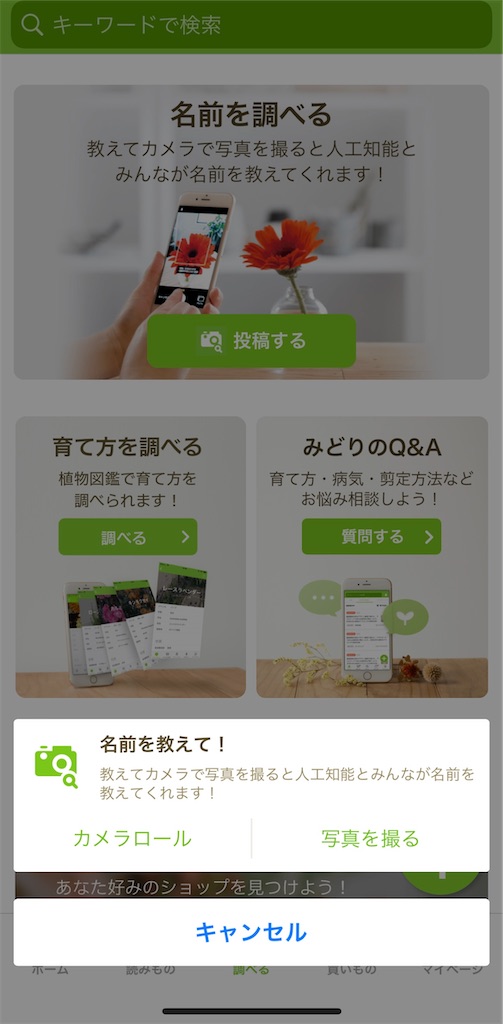 f:id:waisuta12:20220510133824j:image f:id:waisuta12:20220510133824j:image