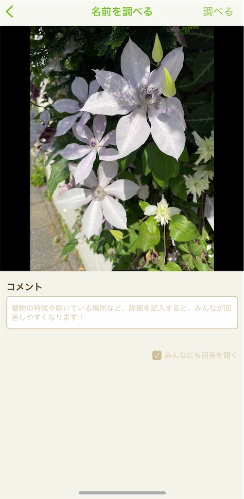 f:id:waisuta12:20220510133836j:image f:id:waisuta12:20220510133836j:image