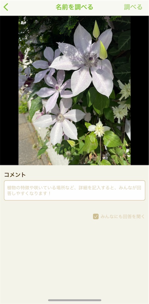 f:id:waisuta12:20220510133836j:image