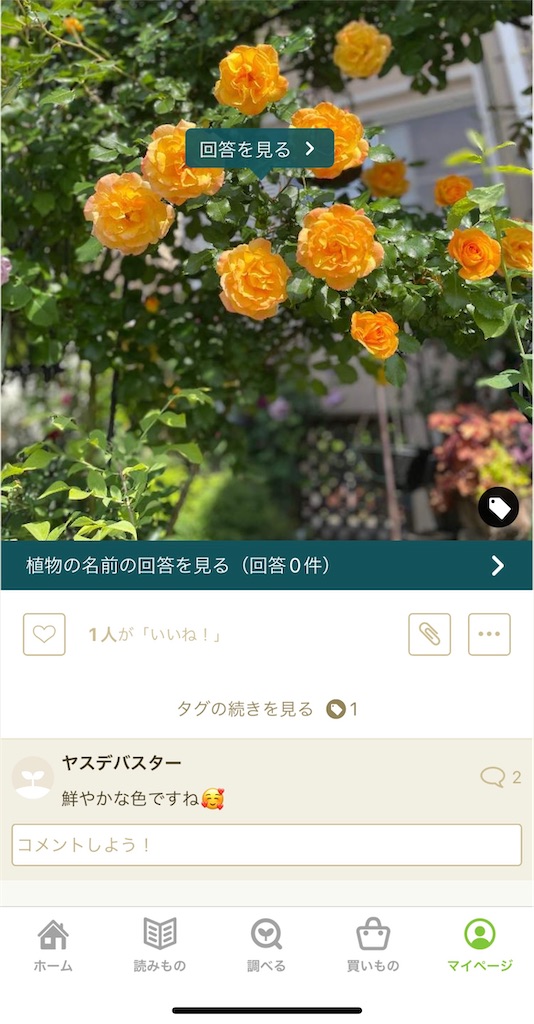 f:id:waisuta12:20220510133907j:image f:id:waisuta12:20220510133907j:image