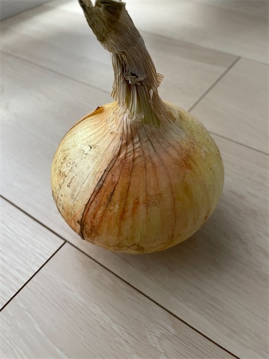 f:id:waisuta12:20220607184843j:image f:id:waisuta12:20220607184843j:image