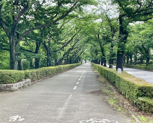 f:id:waisuta12:20220628064346j:image