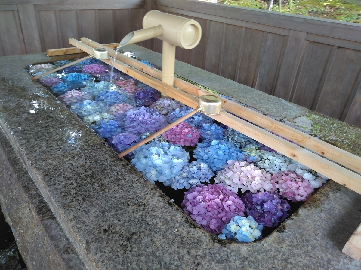 f:id:wajimatime:20200703174259j:plain f:id:wajimatime:20200703174259j:plain