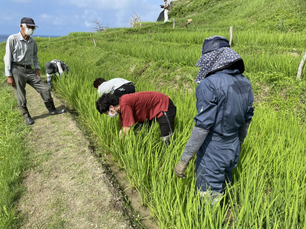 f:id:wajimatime:20210716172542p:plain