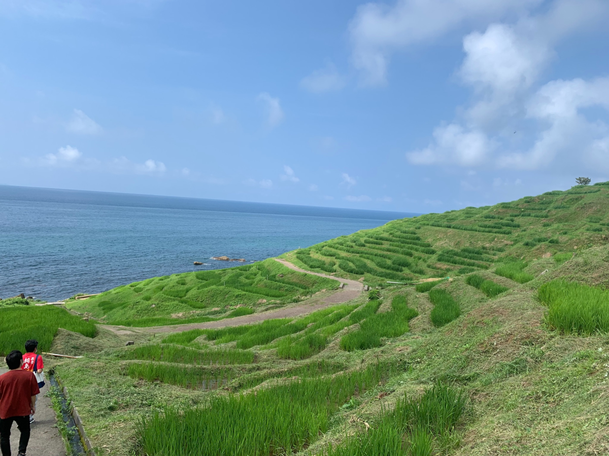 f:id:wajimatime:20210716172720p:plain