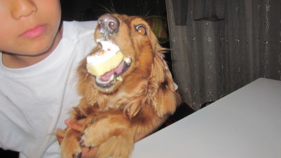 f:id:wajiropower:20120517220212j:image:w360