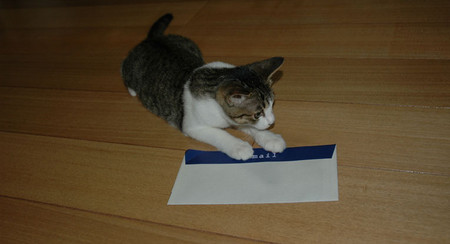 f:id:wajun:20080725211107j:image f:id:wajun:20080725211107j:image