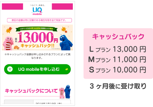 f:id:waka-ru:20181017110948p:plain キャッシュバック:10000円〜13000円。3ヶ月後に受け取り