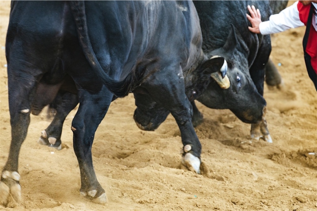 f:id:waka-rukana:20200218234534j:image