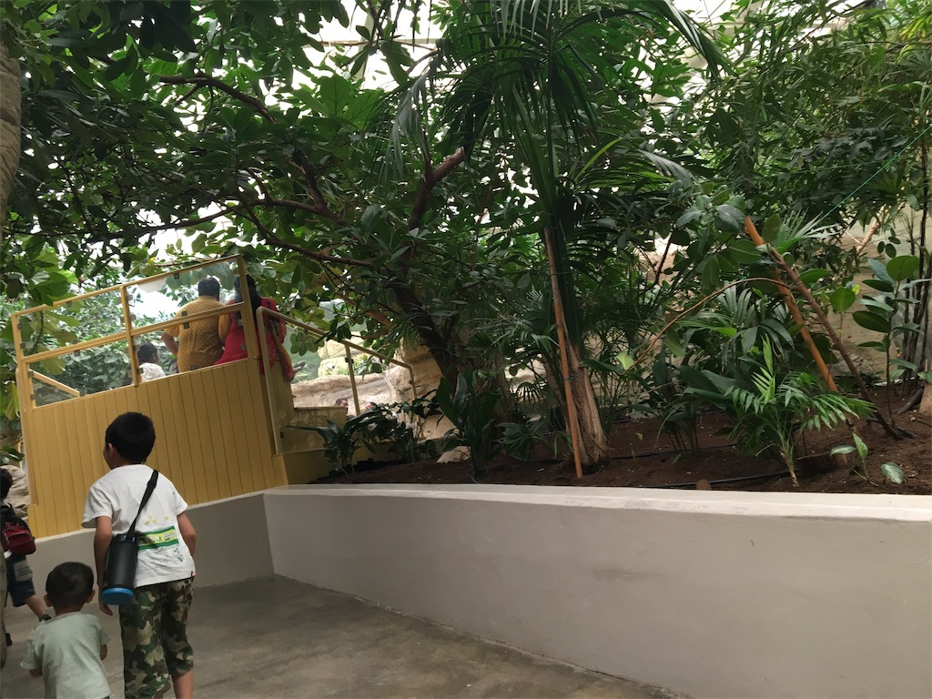 f:id:waka212517:20190810131158j:image