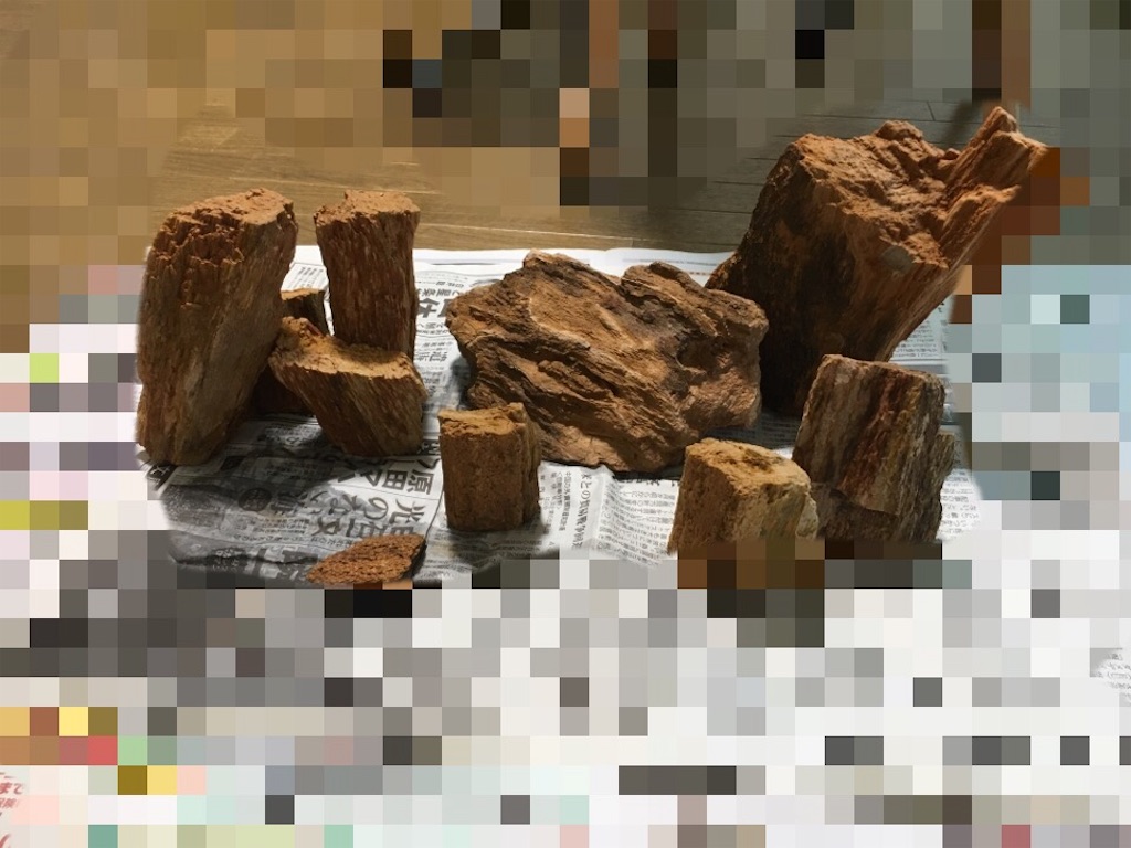 f:id:waka2light:20181026205611j:image f:id:waka2light:20181026205611j:image