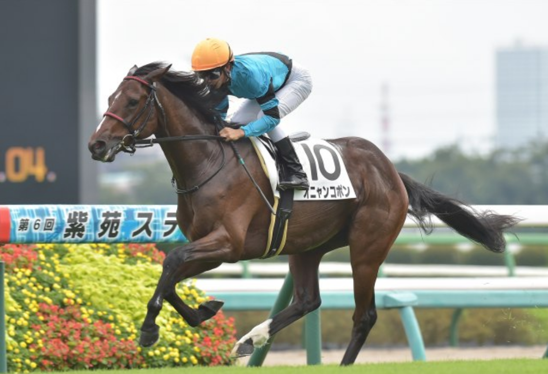 f:id:waka36saburoh:20210911144946p:plain