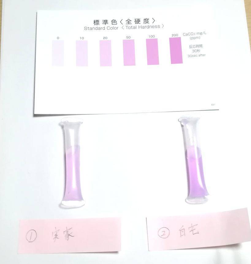 f:id:waka_c:20190301124312j:plain