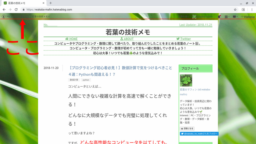 f:id:wakaba-mafin:20181121171307j:plain f:id:wakaba-mafin:20181121171307j:plain