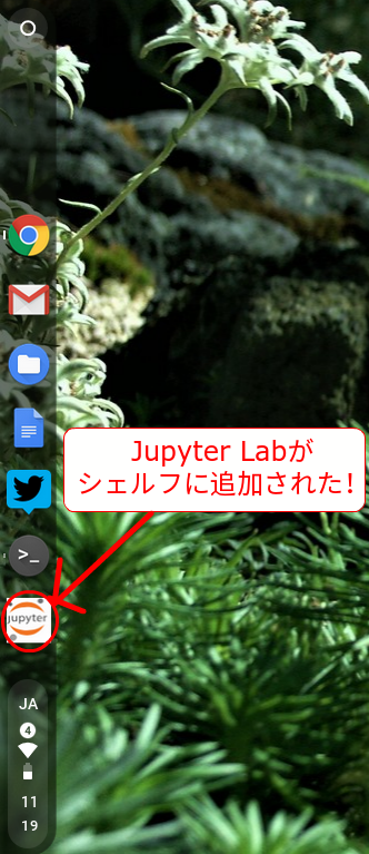 f:id:wakaba-mafin:20181208114148p:plain f:id:wakaba-mafin:20181208114148p:plain