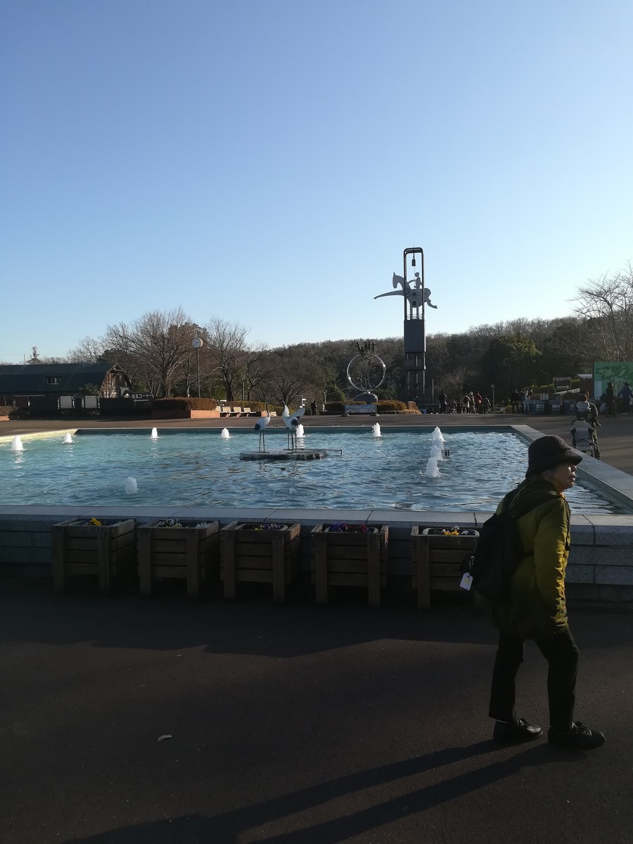 f:id:wakabam:20200103143654j:plain
