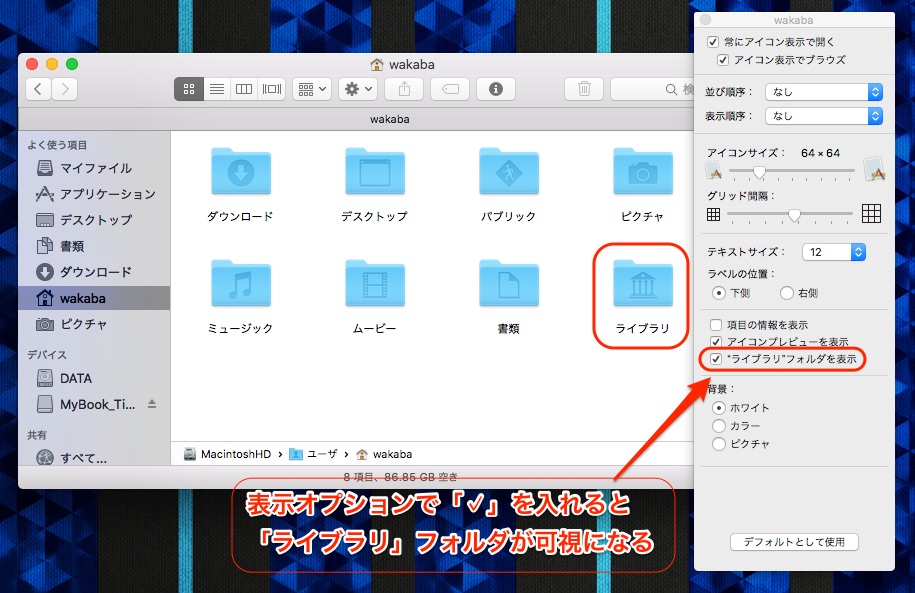f:id:wakabamark_mac:20170205152811j:plain f:id:wakabamark_mac:20170205152811j:plain