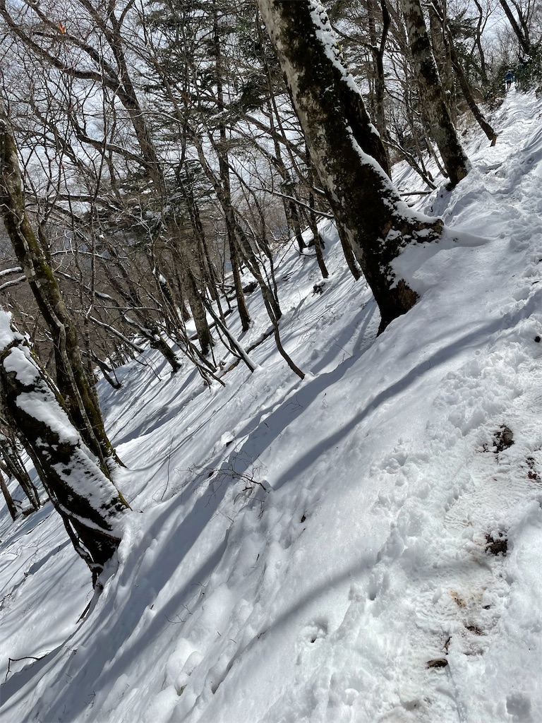 f:id:wakaiojisan:20220410103849j:image f:id:wakaiojisan:20220410103849j:image
