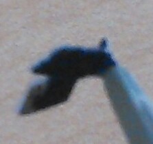 f:id:wakajibi2:20160112122455j:plain