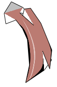 f:id:wakajibi2:20170729120628j:plain
