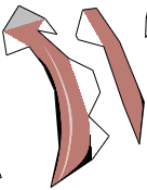 f:id:wakajibi2:20170729120637j:plain