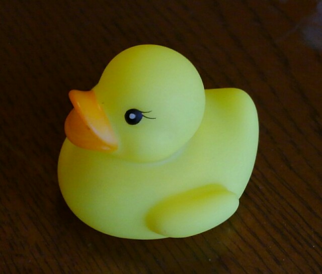 f:id:wakajibi2:20170813173739j:image