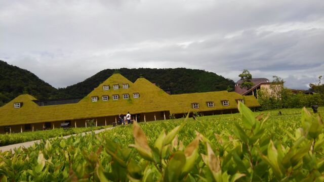 f:id:wakajibi2:20170929121812j:plain