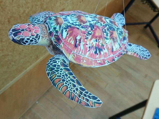 f:id:wakajibi2:20171015000238j:plain f:id:wakajibi2:20171015000238j:plain