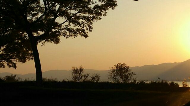f:id:wakajibi2:20171111082420j:plain f:id:wakajibi2:20171111082420j:plain