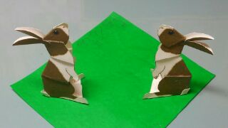 f:id:wakajibi2:20180123165515j:plain