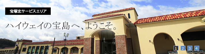 f:id:wakajibi2:20180819095702p:plain