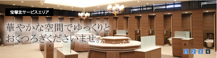 f:id:wakajibi2:20180819095735p:plain