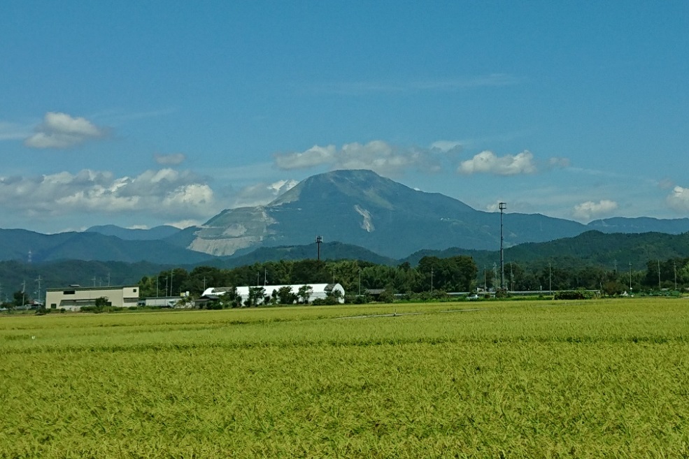 f:id:wakajibi2:20180827093906j:plain