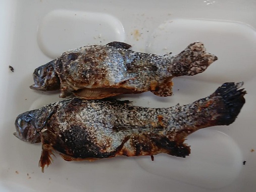 f:id:wakajibi2:20190520104232j:plain f:id:wakajibi2:20190520104232j:plain