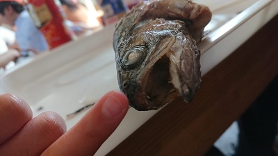 f:id:wakajibi2:20190520104234j:plain f:id:wakajibi2:20190520104234j:plain