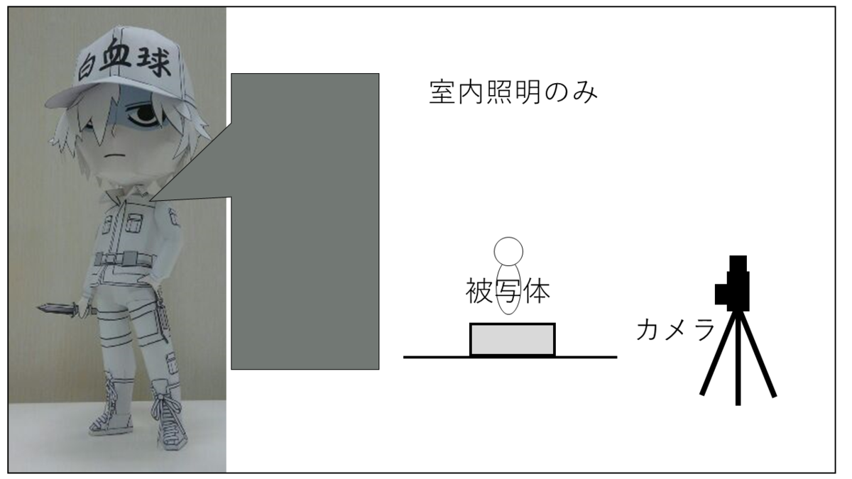 撮影条件 室内照明のみ
